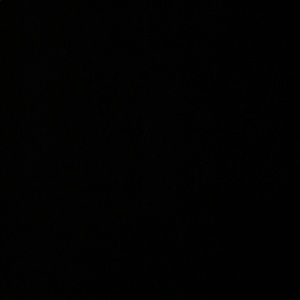 Meet your Posher, Dionne